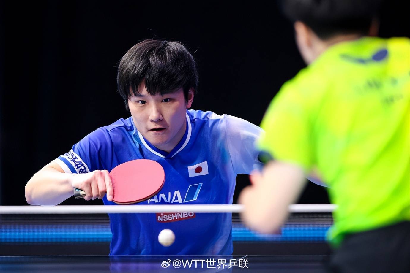 葡萄牙队力克波兰队，张本智和关键制胜