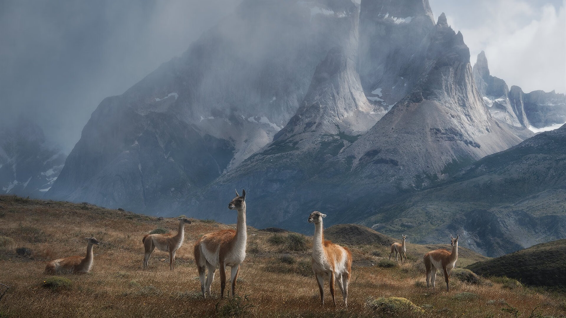 哈登缺席？不，是哈弗茨降临