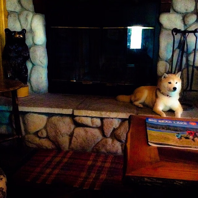 火焰与信仰，当毕尔巴鄂的古老血脉在2026年照亮萨拉赫的征途