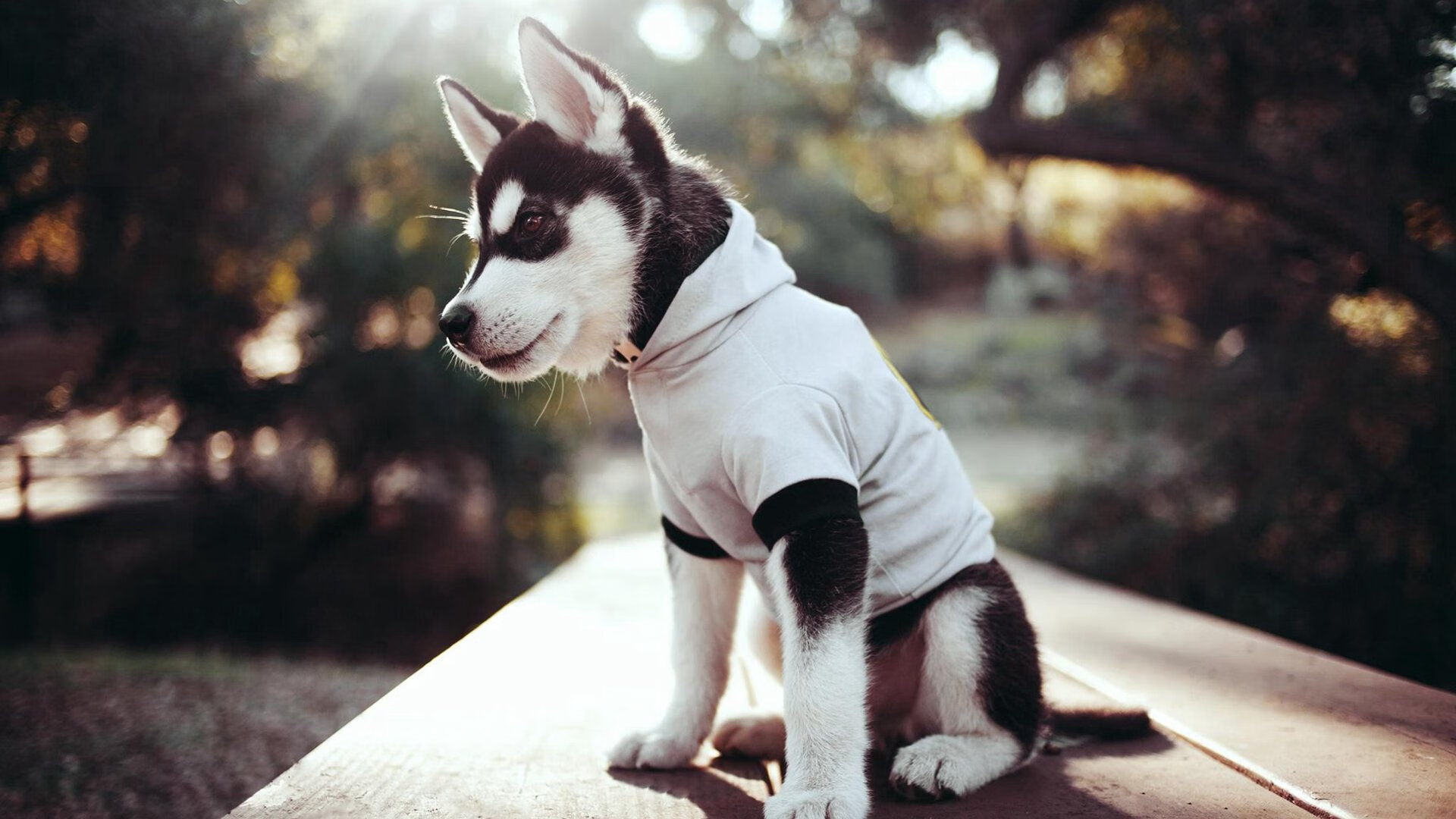 深渊折返，欧冠淘汰赛之夜的七分钟与C罗的完美救赎