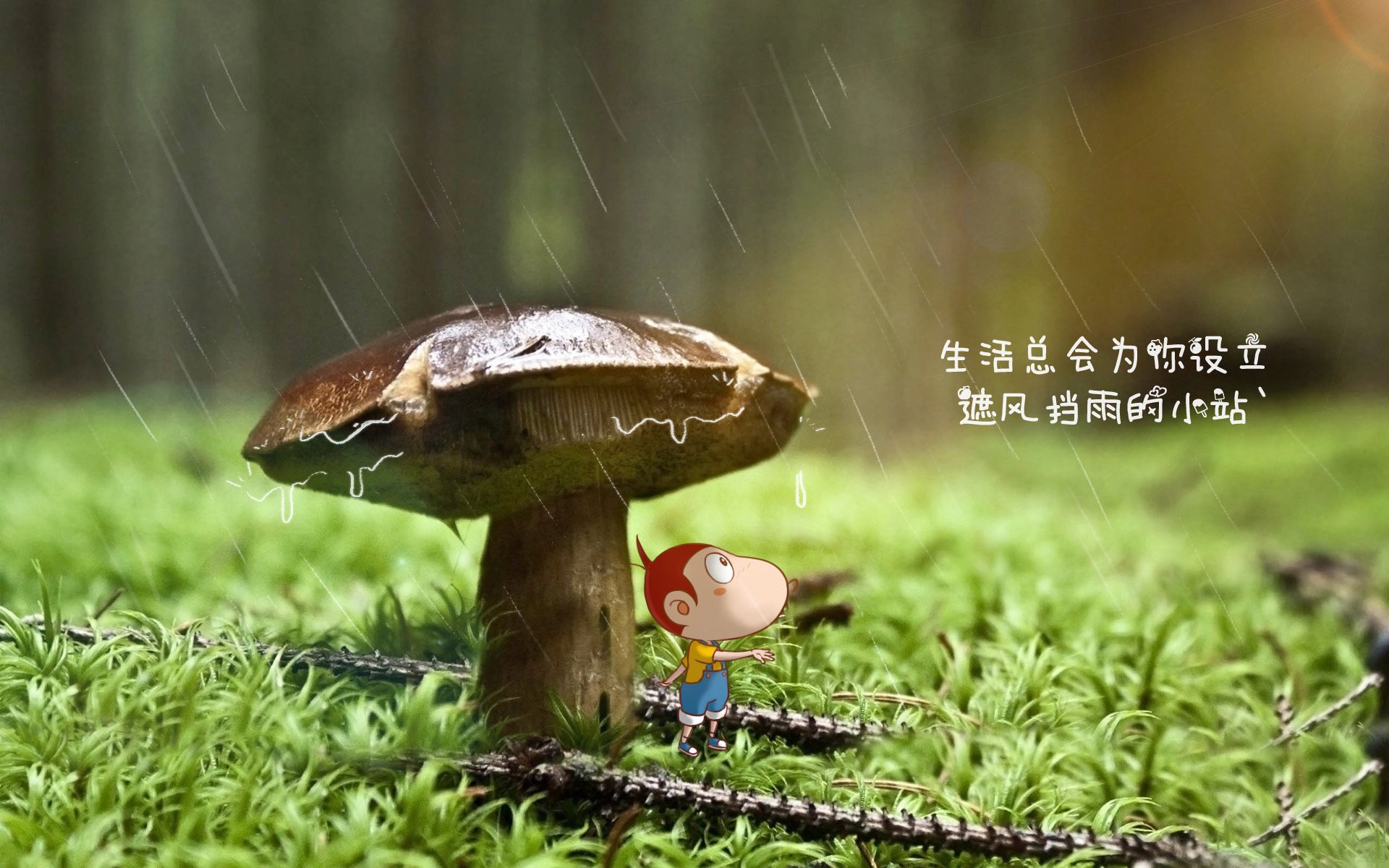 范弗利特,我变魔术时,波士顿忘了自己是卫冕冠军