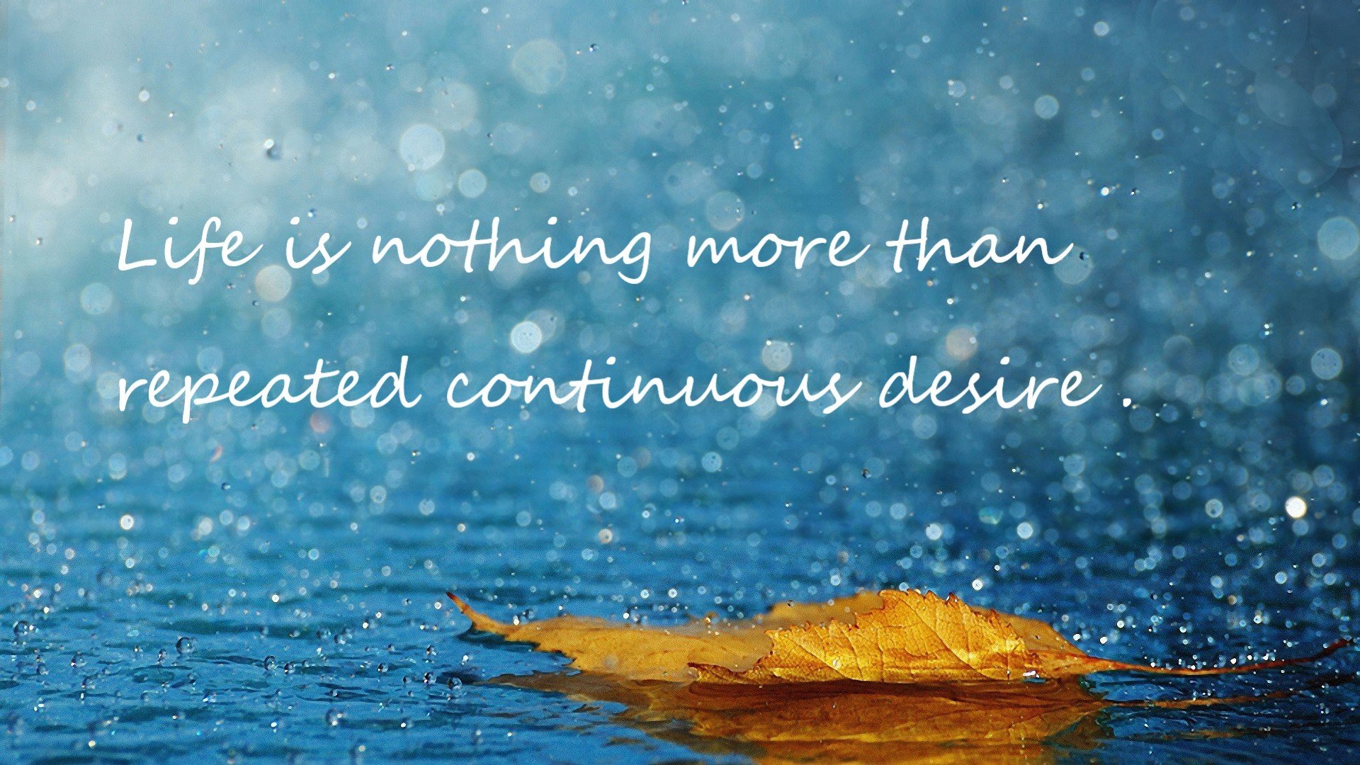 没有独行侠的独行侠队,当塔图姆的高能输出奏响团队篮球的凯歌