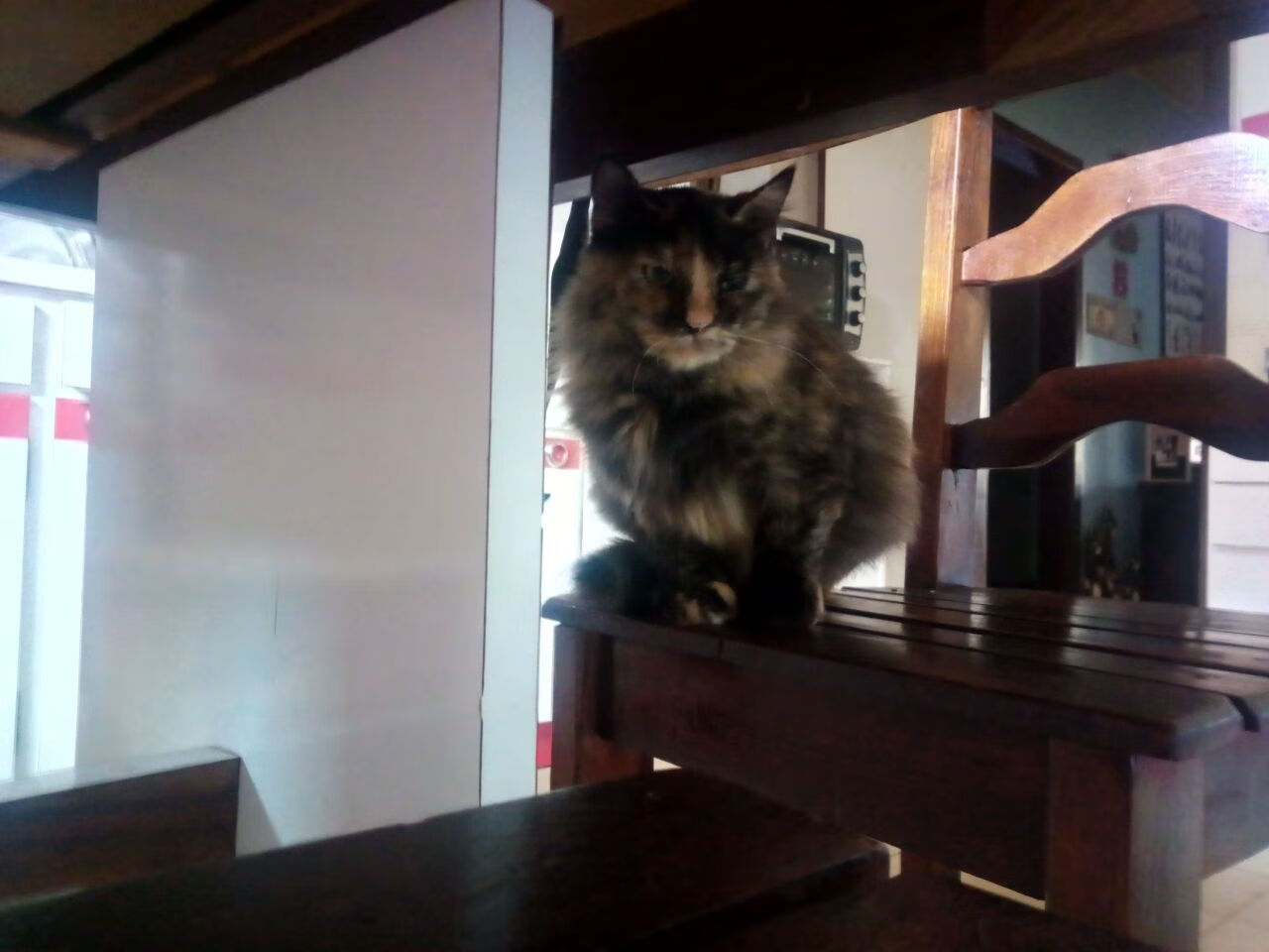 范弗利特有限身体中绽放无限可能，快船用勇士精神重塑胜利方程式