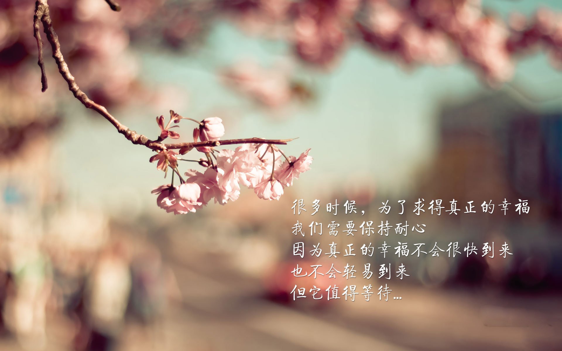 当东方黑马遭遇西方豪门,奥运周期关键战中,吉林队如何终结尼克斯神话?