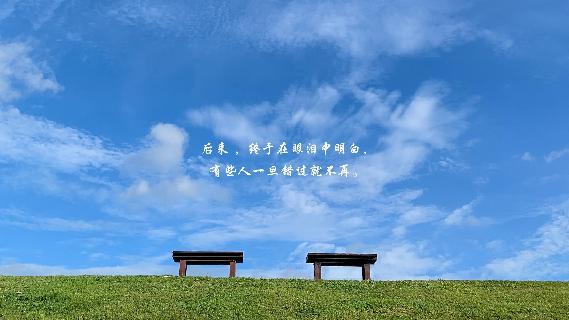 唯一之战,2026世界杯黑马密码—尼日利亚碾压捷克,坎塞洛带队书写不可复制的传奇