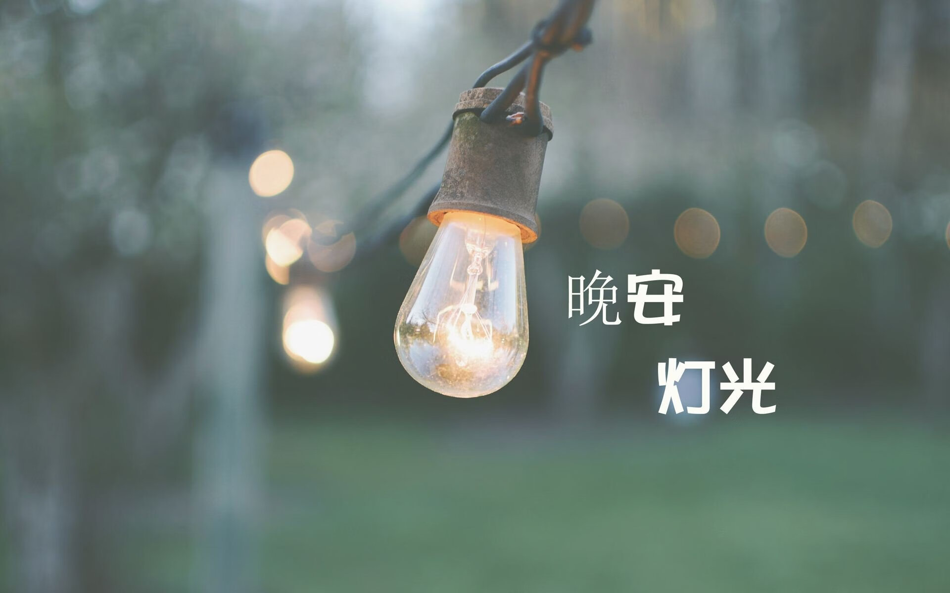 银河倾泻,伊朗文艺复兴与费利克斯的极光时刻—2026世界杯A组,一场被重新书写的亚洲霸权宣言