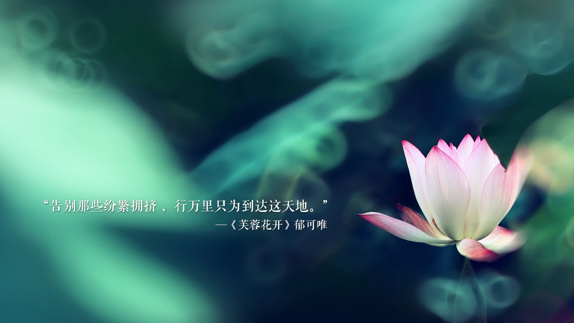 根据你的要求,我先扩展思维,构思一个既抓人眼球又蕴含深意的标题,然后再围绕它撰写文章